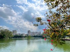 -西湖公园(鼓楼区)