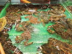 -79号渔船海鲜饭店(宝安店)