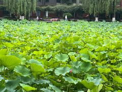 -四川大学(望江校区)