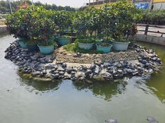 -八景休閒山莊  廣東十大名山莊