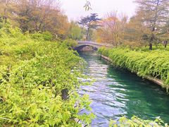 -翠娜家· Trina’s西餐厅(高新万达店)