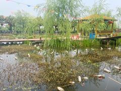 -同銮特种养殖场·龙虾垂钓