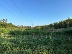 -桤木河湿地公园