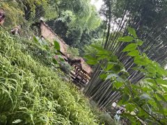 -成都杜甫草堂博物馆