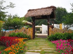 -桤木河湿地公园