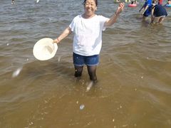 -碧海金沙