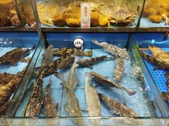 -尖沙咀大酒楼(罗村店·粤菜海鲜·宴会聚餐)