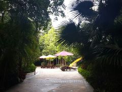 android_upload_pic-深圳华侨城洲际大酒店