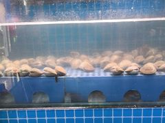 -鹿客臻鲜海鲜自助餐厅(永旺店)