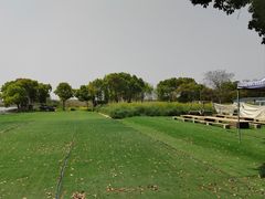 -动邦皮划艇·桨板·独木舟·团建户外运动俱乐部
