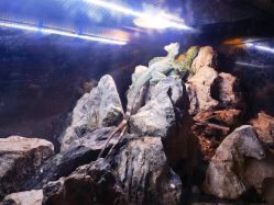 -Zoolung Zoolung动物主题公园(海信广场店)