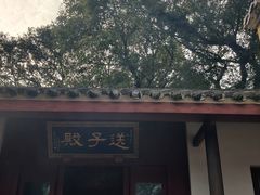 -珞珈山-售票处