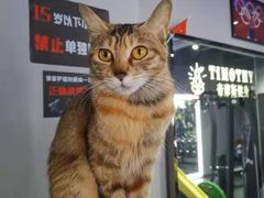 -AK健身普拉提拉伸私教馆(中八店)