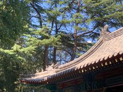 -北宫国家森林公园