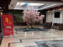 -添赐温泉馆(上南路店)
