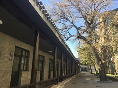 -中央戏剧学院(东城校区)