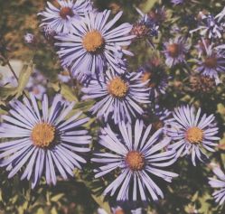 -飛凡TATTOO纹身•原创