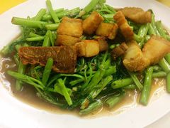 -义福巷鱼翅燕窝