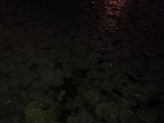 -尚贤河湿地