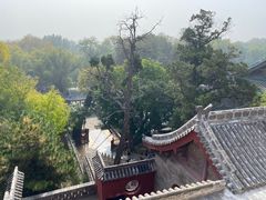 -晋祠公园