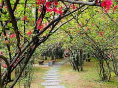 -塔子山公园