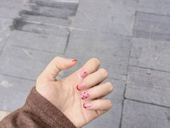 -海底捞火锅(凤凰广场店)
