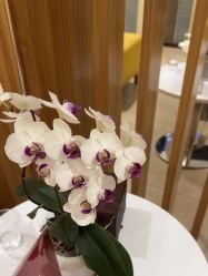 -Yestar宁波艺星整形医院