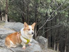 -鹫峰国家森林公园