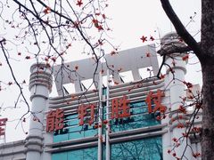 -烈士陵园(地铁站)