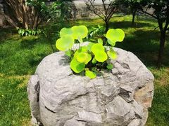 -洛阳周公庙博物馆