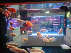 -青螺餐厅·家宴(松雅湖店)