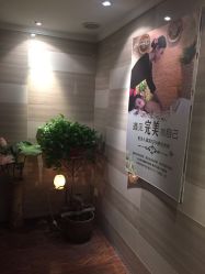 -金夫人美容