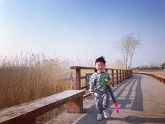 -绿堤公园