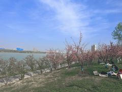 -灞河西岸滨河公园