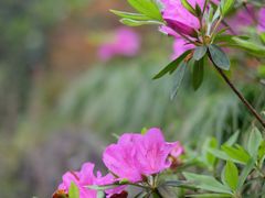 -雁荡山风景名胜区