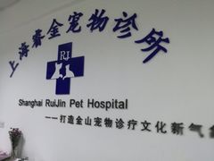 -睿金宠物医院·CT·肿瘤·骨外科