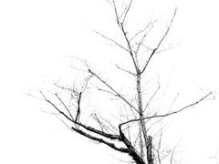 -苏州味道(阳澄湖服务区店)