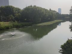 -滨湖塘西河公园