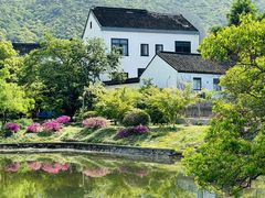 -树山生态村