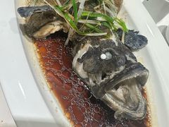 清蒸老虎斑-万龙洲海鲜(南新仓店)