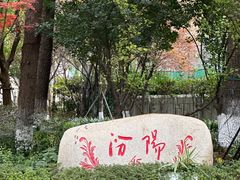 -上海汾阳花园酒店