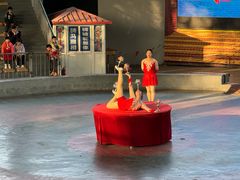 -石家庄市动物园