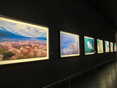 -罗红摄影艺术馆