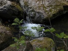 -香炉山国家森林公园