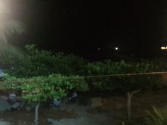 -渔家火锅·海鲜自助餐·演艺(亚龙湾天域酒店)