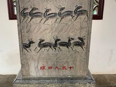 -上海醉白池公园