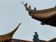 -钦赐仰殿道观