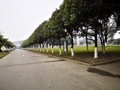 -成都高新创新角度网球俱乐部