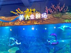 -太奥幻太奇海洋馆