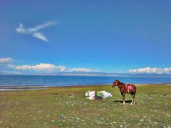 -青海湖国家重点风景名胜区